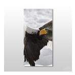 Technopa Kartal 80x120 cm Kanvas Tablo