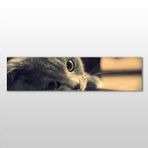 Technopa Kedi 270x90 cm Kanvas Tablo