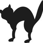 Technopa Kedi 40 cm Folyo Duvar Stickerı