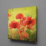 Technopa Kırmızı Çiçekler 100x100 cm Kanvas Tablo
