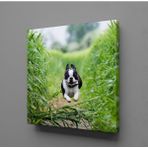 Technopa Köpek 110x165 cm Kanvas Tablo