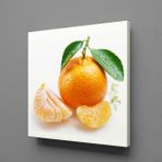 Technopa Mandalina 120x120 cm Kanvas Tablo