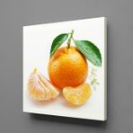 Technopa Mandalina 40x40 cm Kanvas Tablo