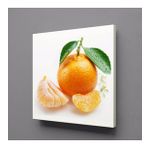 Technopa Mandalina 70x70 cm Kanvas Tablo