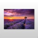 Technopa Mor Çiçekli Tarla 120x80 cm Kanvas Tablo