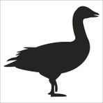 Technopa Ördek 80 cm Folyo Duvar Stickerı