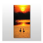 Technopa Ördek ve Gün Batımı 30x50 cm Kanvas Tablo