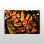 Technopa Sonbahar Yaprak 120x80 cm Kanvas Tablo