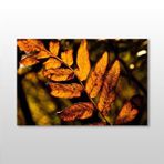 Technopa Sonbahar Yaprak 75x50 cm Kanvas Tablo