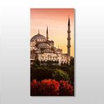 Technopa Süleymaniye Camii 140x210 cm Kanvas Tablo