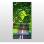 Technopa Yeşil Yol 30x50 cm Kanvas Tablo