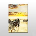 Technopa Zebra 100x50 cm Kanvas Tablo