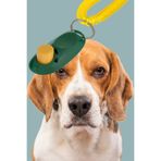 TechnoStation Köpek Cliker Eğitim İçin Ayarlanabilir Yüksek Sesli Eğitim Aleti yüksek sesle tıkırtı
