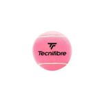 Tecnifibre 12 Cm Pembe İmza Tenis Topu 55Tfbalpnk