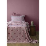 Tek Kişilik Rex Kırmızı Battaniye Set - Pembe - 160 x 220 cm
