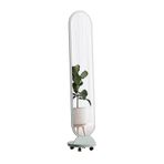 Tekerlekli Büyük Ayaklı Ayna ve 360° Dönme Özelliği Oturma Odası Yatak Odası ve Koridor için Tam Boy Ayna 34 x 169 cm Ahşap Çerçeveli Tam Vücut Giyinme Aynası Fasulye Yeşili