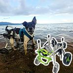 Tekerlekli köpek sandalyesi, tam destekli ve ön ve arka tekerlekli, köpekler için bacak rayı/evcil hayvanlar için hareketlilik yardımcısı, engelli hayvanlar için tekerlekler, küçük, orta ve büyük Ti