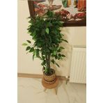 Tekli Ahşap Ayaklı Çiçeklik Saksılık Standı Dekoratif Yan Sehpa Seti 25 cm Çap Atlantik Çam