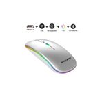 TEKMAKG Kablosuz Fare Wireless Mouse, Bluetooth 5.2, Şarjlı, Ergonomik, Type-c, 800/1200/1600 Dpı, Led Işık