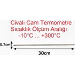 Tekno İstanbul Civalı Termometre - Kimya Termometresi - Cam Baget Termometre -10..300°C - Şeffaf