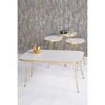 Tekno Trust Beyaz Zigon Sehpa ve Orta Sehpa Kr Set Gold Beyaz Tel Klasik Modern Kare Suntalam 50 x 90 2 Yıl