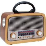 Tekno Trust Müzik Çalar Nostaljik Görünümlü Fm Radyo Bluetoothlu Mp3 Çalar Müzik Kutusu USB Sd Aux RT-301 - Adaçayı Yeşili