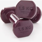 Tekno Trust Tek Ebat Domyos 1,5 kg Dambıl X2 - Fitness Hafif Antrenman Dambıl Seti Mor 1,5 kg Döküm - 0,5 kg - Beyaz