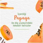Teknocan Himalaya Since 1930 Işıltılı Beyazlık Bitkisel Beyazlatıcı Diş Macunu, Florürsüz, Parabensiz, Bitkisel Enzim, 75 ml - Option-1