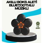 Teknodayım Teknolojik Ev Tipi Akıllı Boks Duvar Paneli Müzikli Bluetoothlu Refleks Geliştirme Cihazı Seri - Çok Renkli
