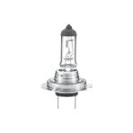 TeknoKapsül Ampul/sis Fari 24V 70W H7- PK22S Daf//man//neoplan/renault// 8gh 242 632 141 - Hel 8gh 242 632 141