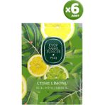 TeknoKapsül Çeşme Limonu Kolonyalı Mendil 50'li x 6 Adet