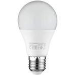 TeknoKapsül Horoz Electric Premıer-9 220V 9 Watt E27 2700K Günışığı LED Ampul
