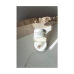 TeknoKapsül Iva Natura Organik Canlandırıcı Gece Kremi Limon Otu Ölmez Çiçek Otu 50 ml