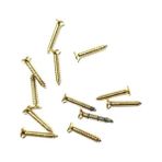 TeknoKapsül Klips, Menteşe, Ayak, Ağaç, Sunta Vidası 2,2X13 mm - Sarı 100 Adet - Seçenek