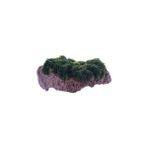 TeknoKapsül Marimo Rock Bitki