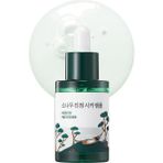 TeknoKapsül Roundlab Calming Cica Ampoule Yüz Ampulü 30 ml