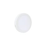 Teknollojia 24W Sıva Üstü Tavan LED Lamba Beyaz Işık