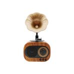 Teknonow B5 Nostaljik Mini Gramafon Radyo - Kahverengi