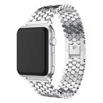 Teknoşehir KRD-30 Apple Watch 40 mm Metal Kordon