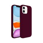 Teknoway Showsol iPhone 11 Bordo Kılıf