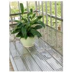 Tel Örgü Levhalar, 304 Paslanmaz Çelik Delikli Sac, Dekoratif Örgü Çapı 10 mm, Ev, Bahçe ve Endüstri için Dayanıklı Tel Örgü (50 x 400 cm)