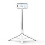 Telesin Tripod & Selfie Stick (1.7M)