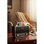 Telkur MD-1909BT Nostaljik Radyo Görünümlü Bluetooth,hafıza Kartı,usb Bellek,aux ve Radyo Destekli Hoparlör Siyah - Çok Renkli