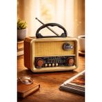 Telkur NS-8110BT Nostaljik Radyo Görünümlü Bluetooth,hafıza Kartı,usb Bellek,aux ve Radyo Destekli Hoparlör Gri - Çok Renkli