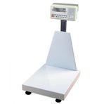 Tem MEB 300 kg 60x70 Sayıcı Baskül