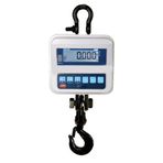 Tem TEB 150 kg 50 gr Çengel Baskül