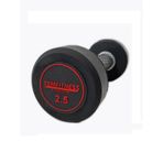 Temfitness Kauçuk Kaplı Olimpik Dambıl 2.5 KG
