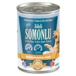 Temizmama 400 gr Jöleli Somonlu Yaş Yetişkin Köpek Maması