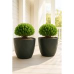 TEMMUZ HOME 2 Adet 26 Litre Dekoratif Büyük Boy Parlak Renkli Tabaklı Plastik Saksı Yakamoz Saksı No7