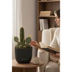 TEMMUZ HOME Büyük Boy Modern Sukulent Kaktüs Ve Çiçek Saksısı Kare 4lt